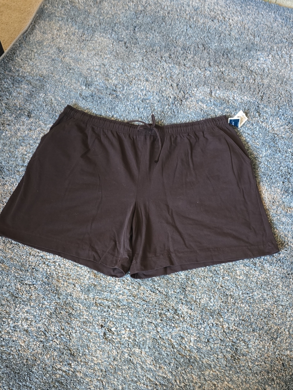 Karen Scott Brown Drawstring Sport Shorts